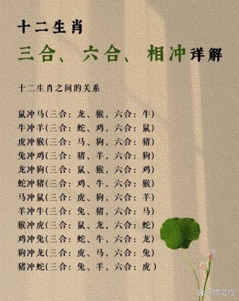 蛇兔对冲生肖属相（蛇兔对冲是什么生肖属相）