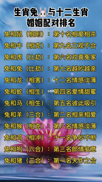 生肖属相老鼠配对（属鼠和什么生肖最配对表💞）