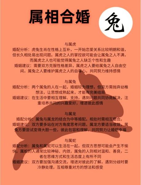 生肖男的媳妇生肖属相是什么（属兔男的最佳配偶属相）
