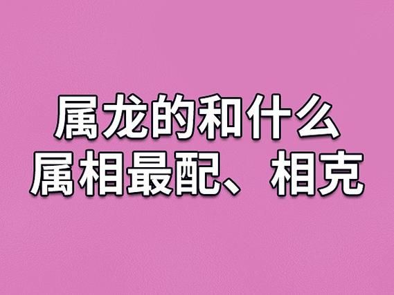 生肖龙搭配属相（属龙和哪些属相相合相冲新手版）