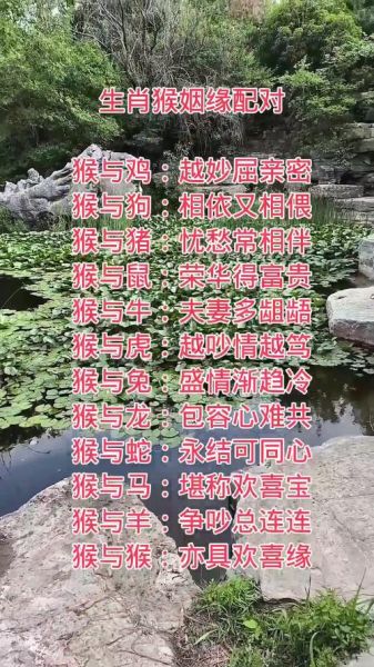 猴合适的配偶生肖属相（属猴最佳配偶生肖属相）