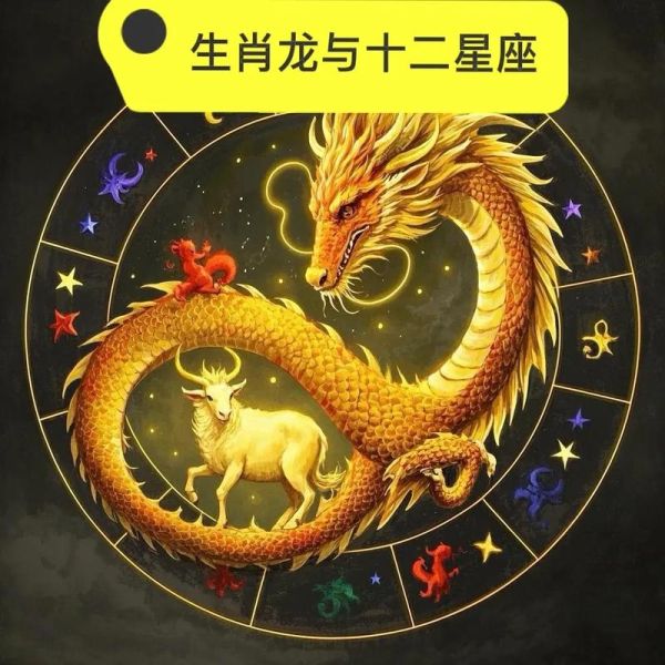 生肖龙有多少个属相