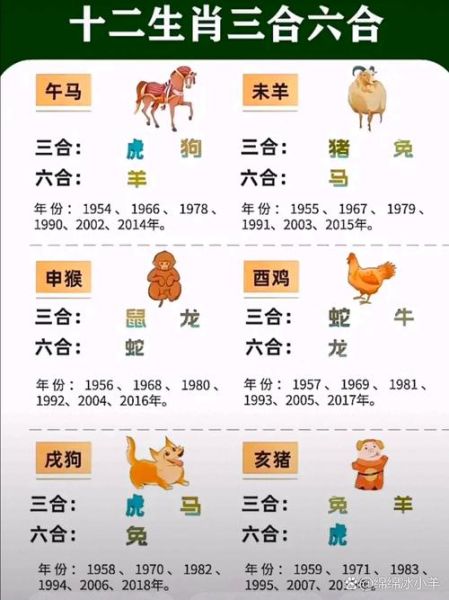 生肖运势十二属相（2025年生肖运势最旺排行TOP12）