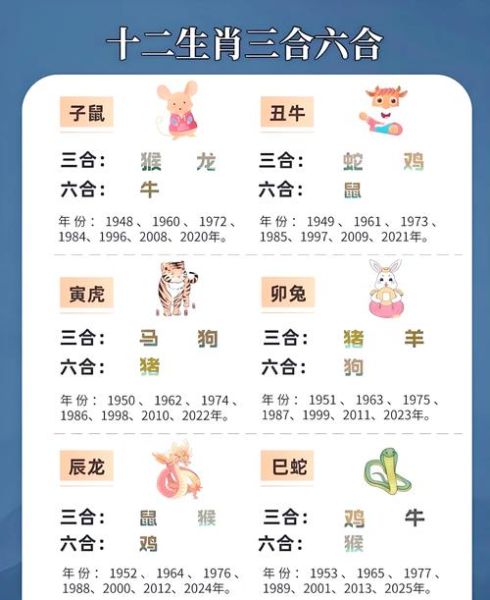 生肖属相相和（属相相和怎么看？）