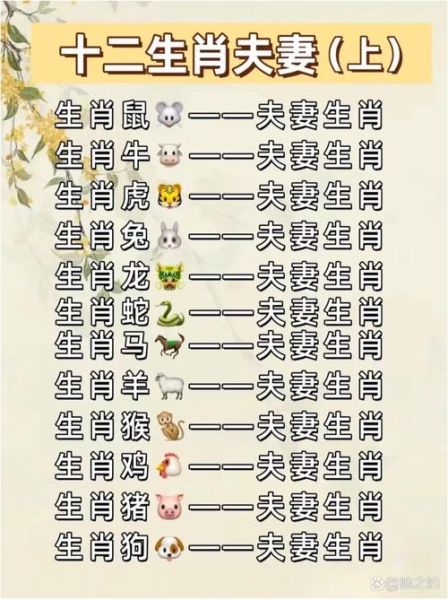 生肖小属相（生肖小属相和大属相的区别）