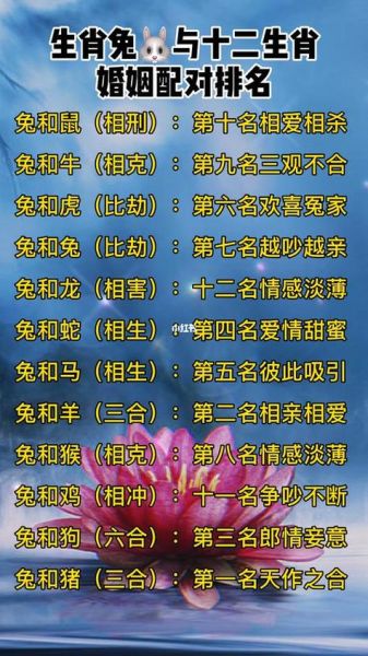 生肖龙子女属相（生肖龙生鼠宝宝旺还是牛宝宝旺）