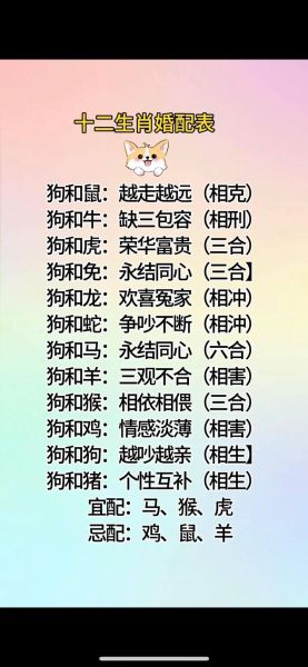 生肖绝配的属相男人（哪个属相的男人最绝配十二生肖）