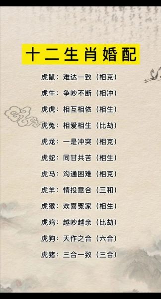 生肖老虎和什么属相不和（生肖虎和什么生肖相冲最详解）