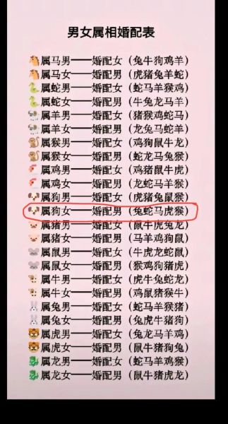 猪年生肖配对最好属相
