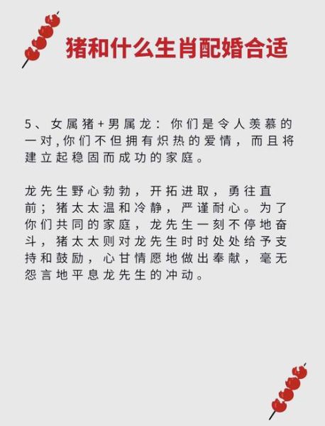 生肖猪哪个属相最好（生肖猪最旺配婚属相指南）