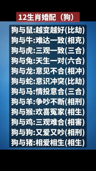 生肖狗适合属相（生肖狗跟什么属相最合适）