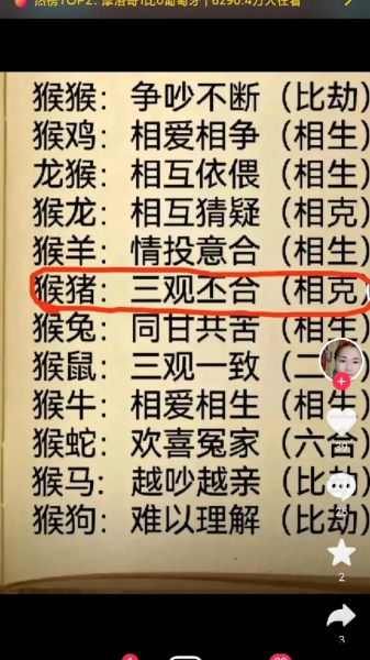 生肖猴喜欢哪个属相（生肖猴最爱的生肖配对是谁）