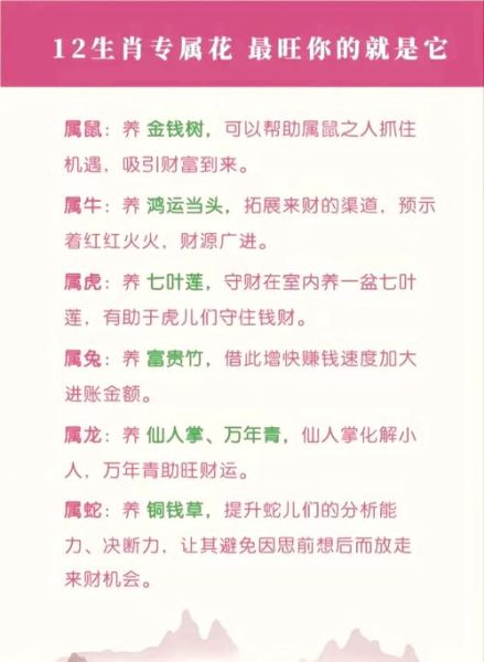 生肖属相开运花（生肖开运花有哪些及摆放秘诀）