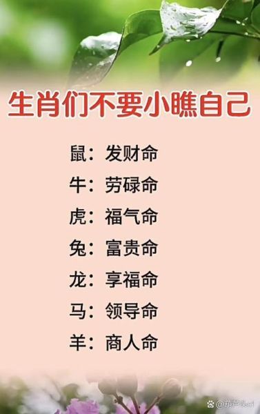 贺老总属什么生肖属相（贺老总属啥生肖？新手秒懂的答案）