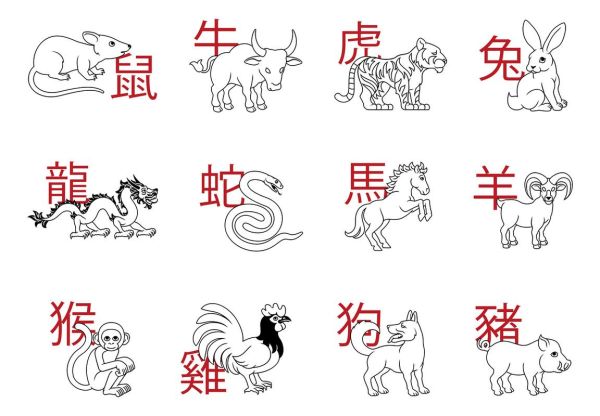 生肖属相重要不（属相决定命运是真的吗）
