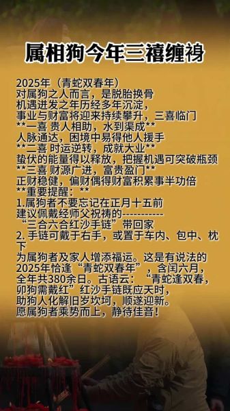 狗忌哪个生肖属相（属狗忌讳哪三大生肖？）