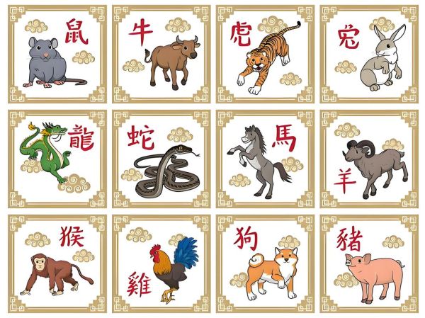知华是什么生肖属相（知华属什么生肖？一键速查）