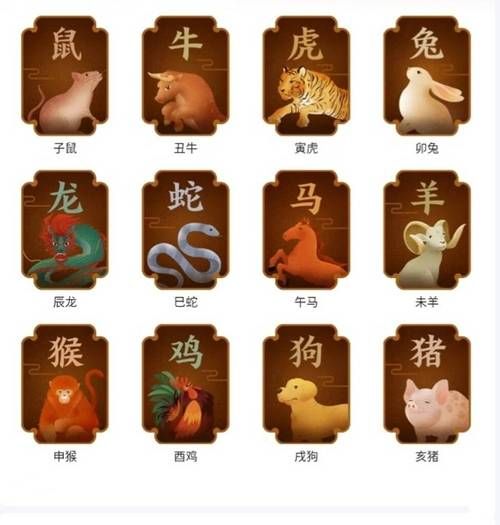 六万属什么生肖属相（六万属什么生肖属相？一文看懂换算秘籍）