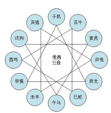生肖猴跟啥属相不合适（生肖猴跟哪个属相不合？）