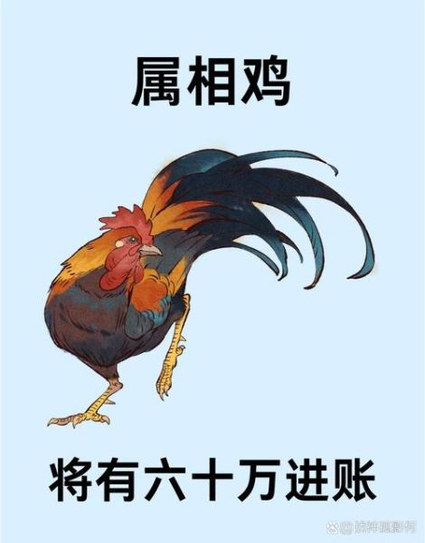 生肖鸡的忌属相（生肖鸡最忌的三大属相⚡）