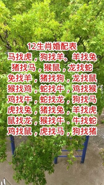 十二生肖属相婚配表数字（十二生肖属相婚配表数字含义是什么？）