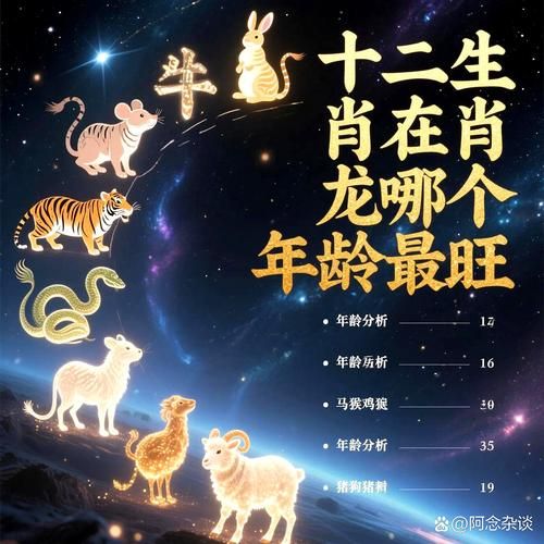 361岁属什么生肖属相（361岁属什么生肖）
