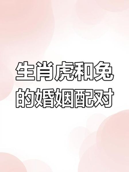 生肖虎适配属相（生肖虎适配属相配对全解析）
