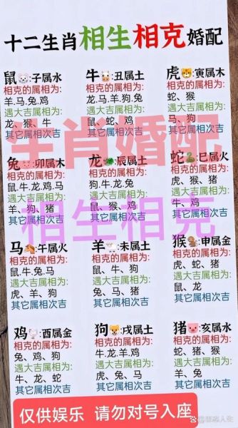 生肖鼠的最佳配对属相（生肖鼠最佳婚配属相是谁？）