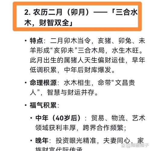乙亥是什么属相的生肖（乙亥年出生的人属什么生肖）