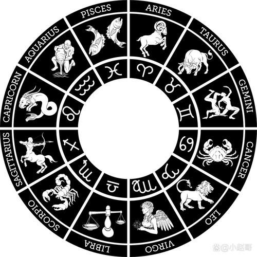 星星属相属什么生肖（星星属相属什么生肖？）