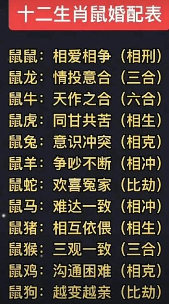 生肖老鼠与什么属相不合（属鼠生肖和什么属相不合）