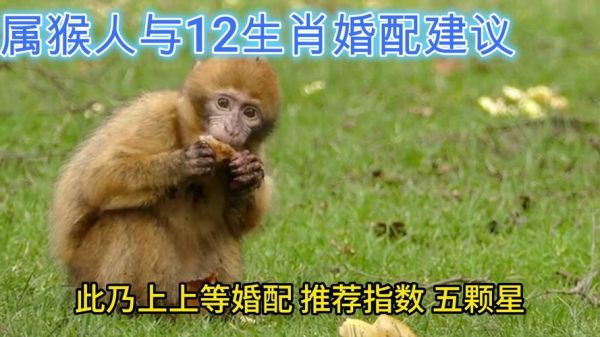 生肖猴女最配哪个属相男（属猴女配哪个属相男最幸福）