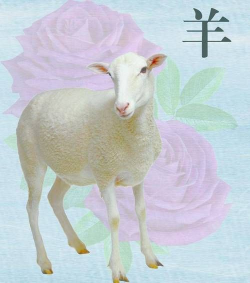 生肖羊相冲的属相（生肖羊的六合贵人是什么属相）