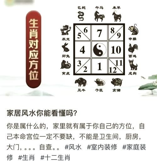 金宣宗什么生肖属相（金宣宗属什么生肖🤔）