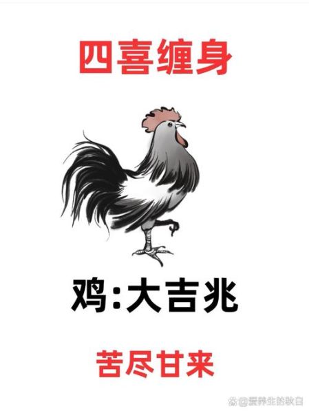 生肖鸡最忌讳什么属相（生肖鸡最忌讳的三个属相）
