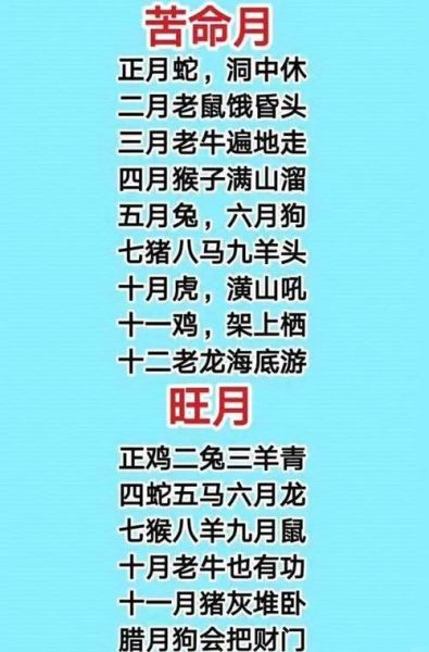 生肖属相败月命（生肖属相败月命查询表2024版）