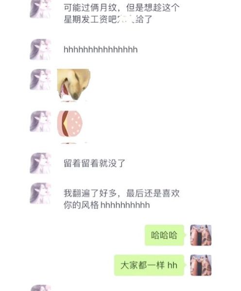 达摩属什么生肖属相（达摩属什么生肖属相查询）