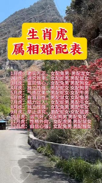 虎最佳配什么生肖属相（虎最佳婚配生肖是哪个属相）