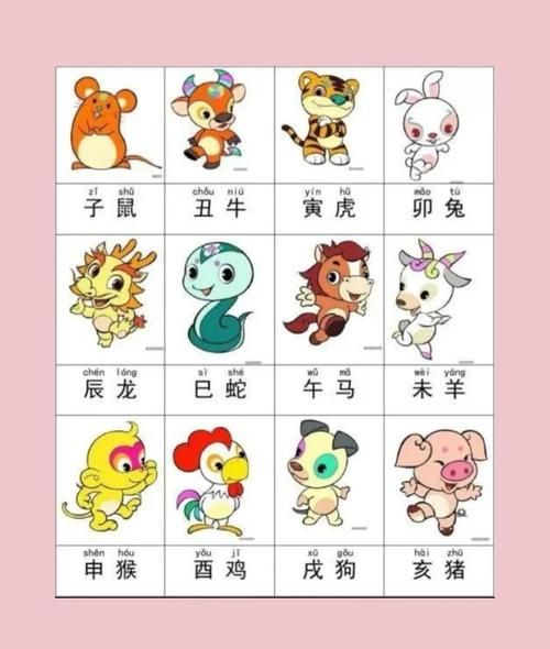 属相猪相克生肖（属猪真正克哪些生肖？小白一看就懂）