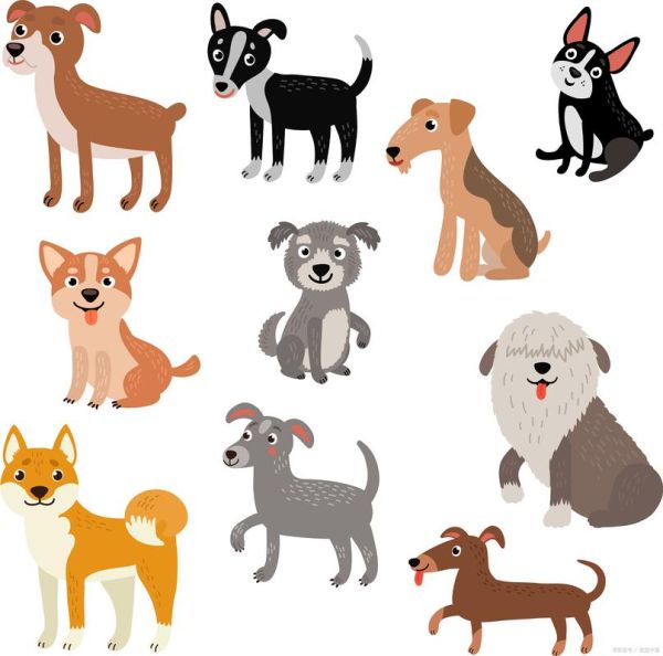 生肖网属相最相配（生肖狗和什么属相最相配）