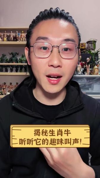 生肖属相搞笑配音（生肖属相搞笑配音怎么玩）