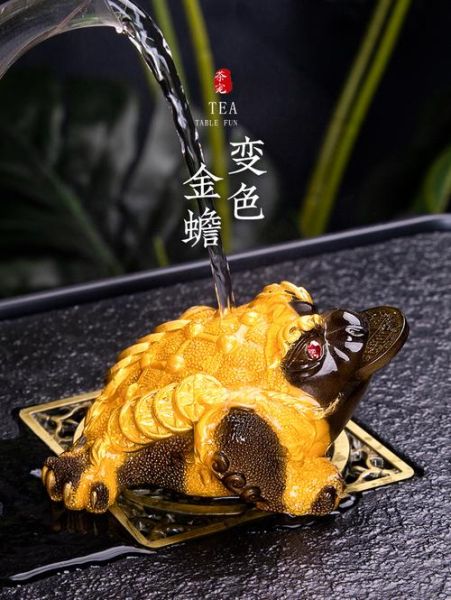 蛤蟆茶宠属相生肖（蛤蟆茶宠什么属相最旺）