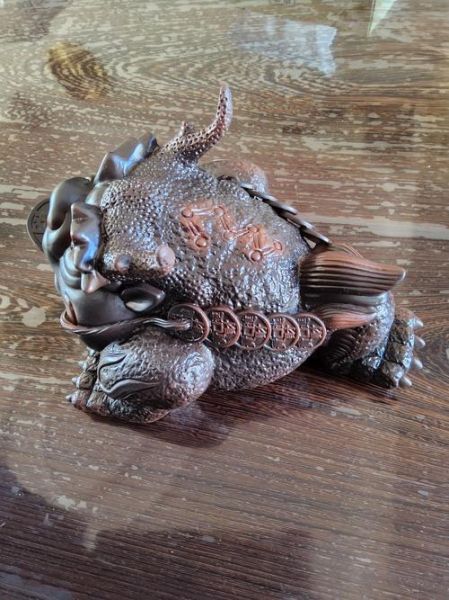 蛤蟆茶宠属相生肖（蛤蟆茶宠什么属相最旺）