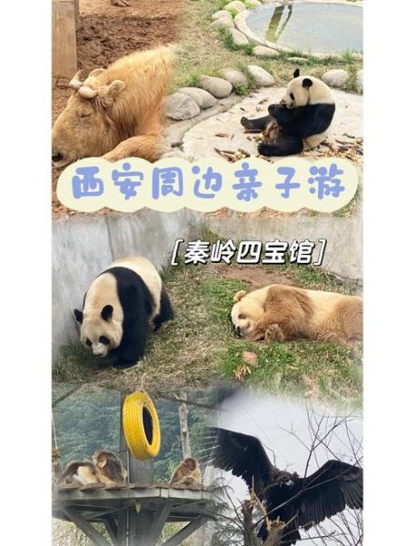 陕西十二生肖属相（陕西十二生肖地方版🐼有哪些门道？）