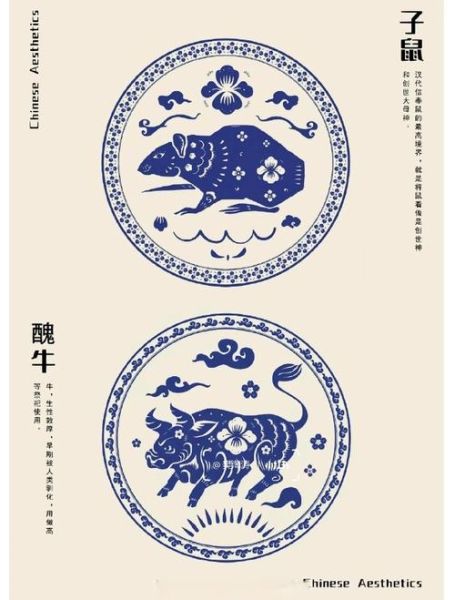 小单龙什么生肖属相（小单龙生肖是属什么的？）