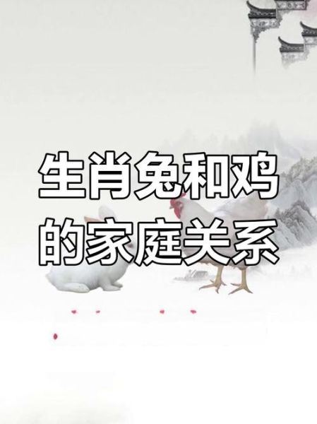 鸡兔生肖相克的属相（鸡兔相克最忌配什么生肖）