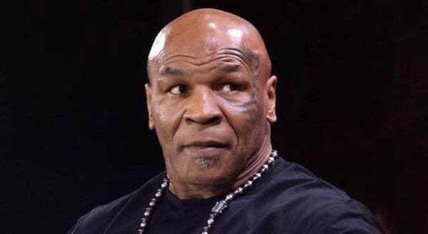 泰森的生肖属相（泰森属什么生肖？小白也能看懂的解析）