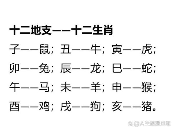 生肖属相所属地支（生肖属相所属地支对照表）