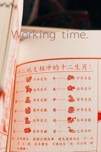 查看生肖属相（生肖属相看农历还是公历？小白必看！）