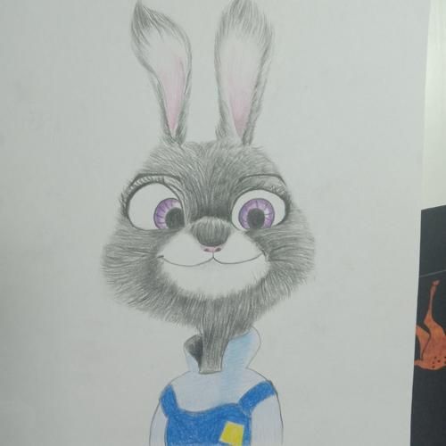 杰克正确生肖属相（杰克生肖属相到底属什么）